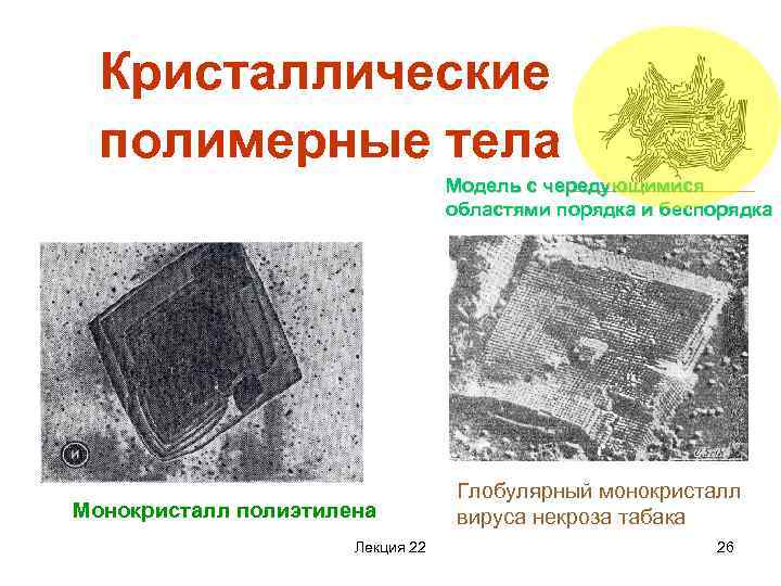 Кристаллические полимерные тела Модель с чередующимися областями порядка и беспорядка Монокристалл полиэтилена Лекция 22