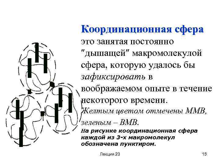 Координационная сфера это занятая постоянно дышащей макромолекулой сфера, которую удалось бы зафиксировать в воображаемом