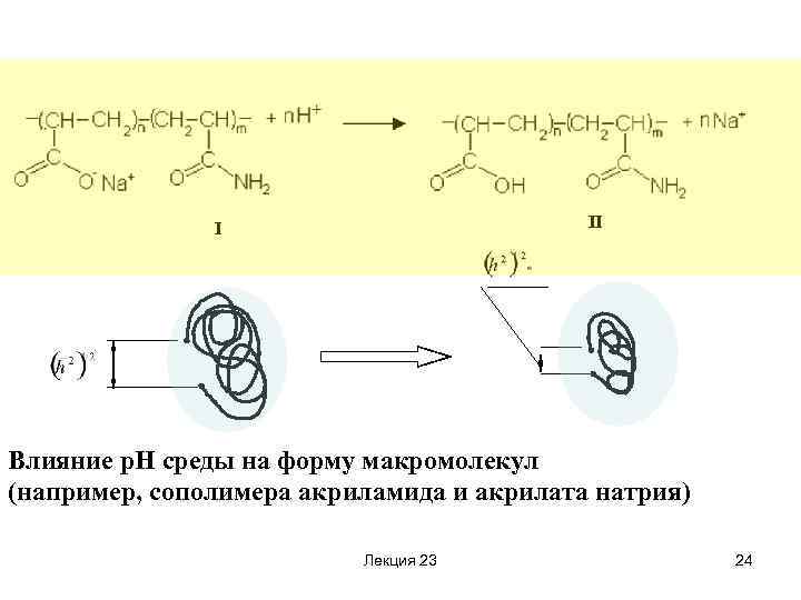 II I Влияние р. Н среды на форму макромолекул (например, сополимера акриламида и акрилата
