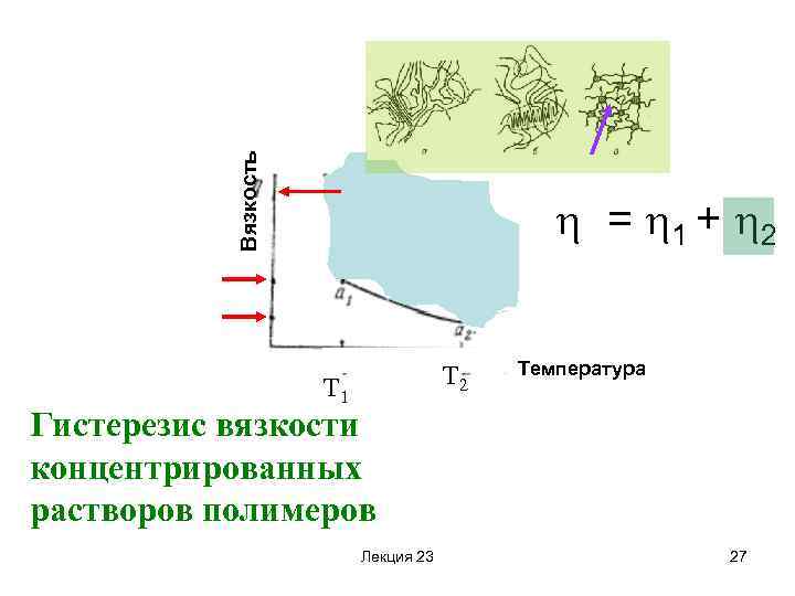 Вязкость = 1 + 2 Т 1 Температура Гистерезис вязкости концентрированных растворов полимеров Лекция