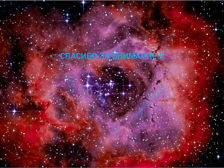 СПАСИБО ЗА ВНИМАНИЕ!!! 