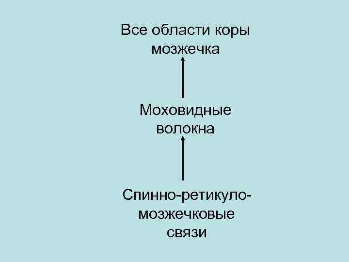 Все области коры мозжечка Моховидные волокна Спинно-ретикуломозжечковые связи 