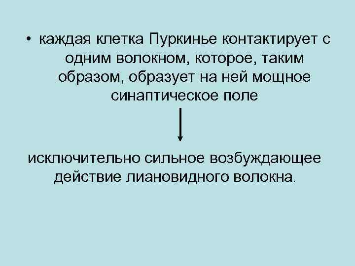  • каждая клетка Пуркинье контактирует с одним волокном, которое, таким образом, образует на
