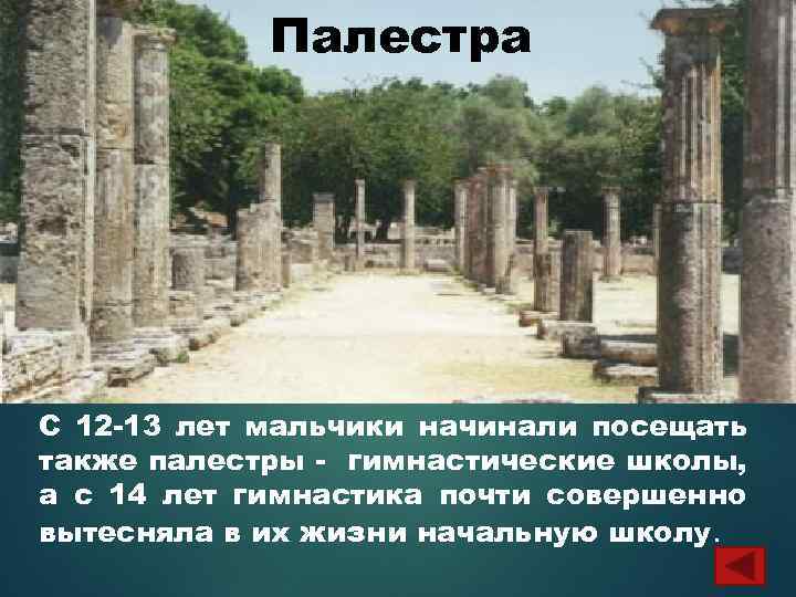 Палестра С 12 -13 лет мальчики начинали посещать также палестры - гимнастические школы, а