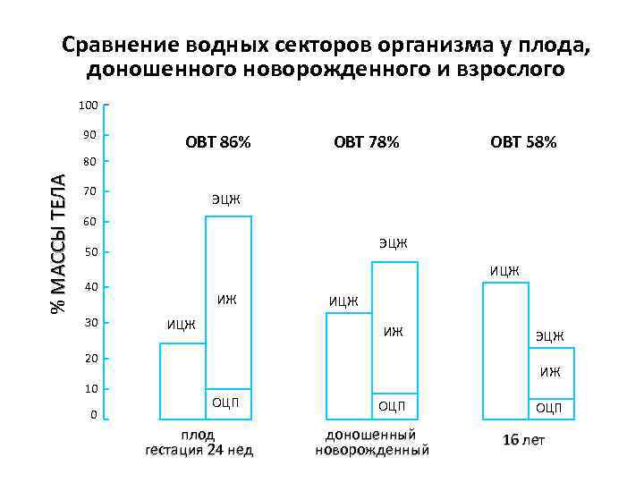 Сравнение водных секторов организма у плода, доношенного новорожденного и взрослого 100 90 ОВТ 86%