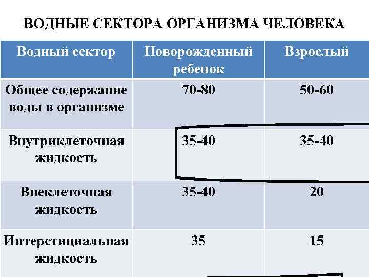 ВОДНЫЕ СЕКТОРА ОРГАНИЗМА ЧЕЛОВЕКА Водный сектор Новорожденный ребенок Общее содержание 70 -80 воды в