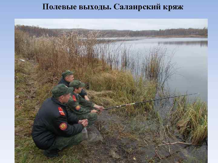 Полевые выходы. Салаирский кряж 