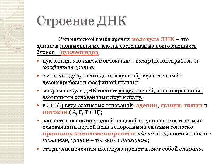 Строение ДНК С химической точки зрения молекула ДНК – это длинная полимерная молекула, состоящая