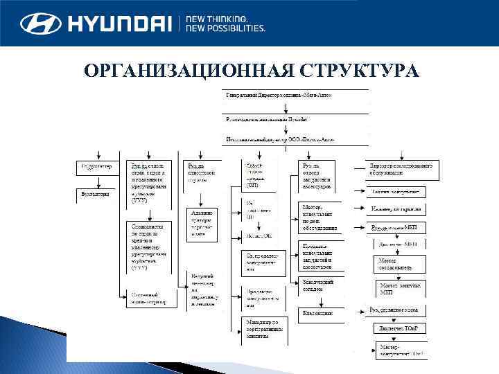 ОРГАНИЗАЦИОННАЯ СТРУКТУРА 