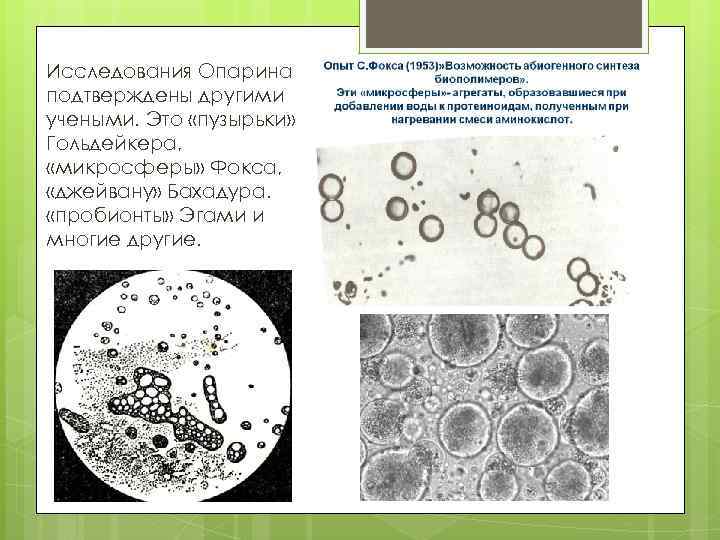 Исследования Опарина подтверждены другими учеными. Это «пузырьки» Гольдейкера, «микросферы» Фокса, «джейвану» Бахадура. «пробионты» Эгами