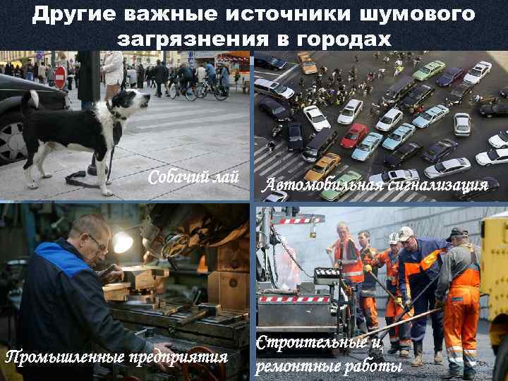Другие важные источники шумового загрязнения в городах Собачий лай Промышленные предприятия Автомобильная сигнализация Строительные