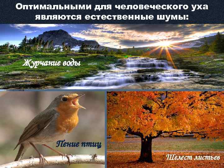 Оптимальными для человеческого уха являются естественные шумы: Журчание воды Пение птиц Шелест листьев 