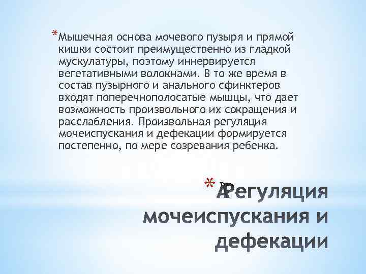 *Мышечная основа мочевого пузыря и прямой кишки состоит преимущественно из гладкой мускулатуры, поэтому иннервируется