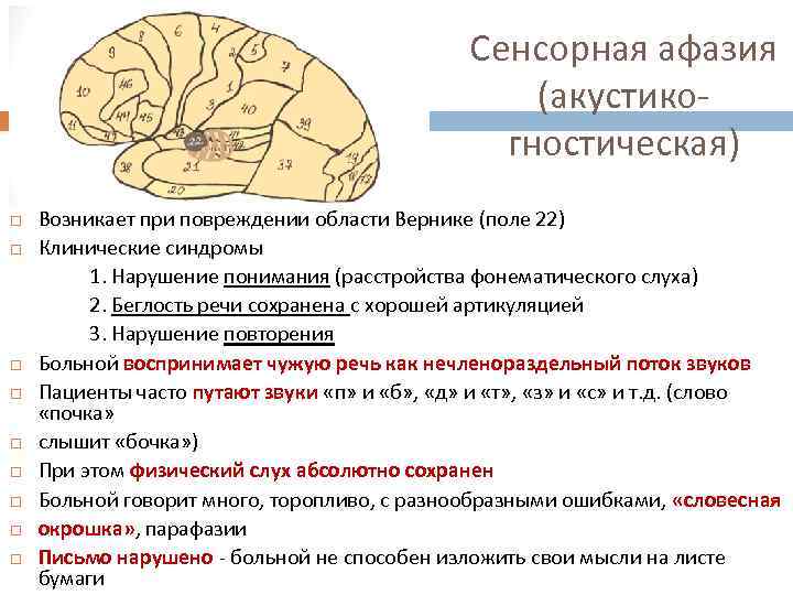 Сенсорная афазия (акустикогностическая) Возникает при повреждении области Вернике (поле 22) Клинические синдромы 1. Нарушение