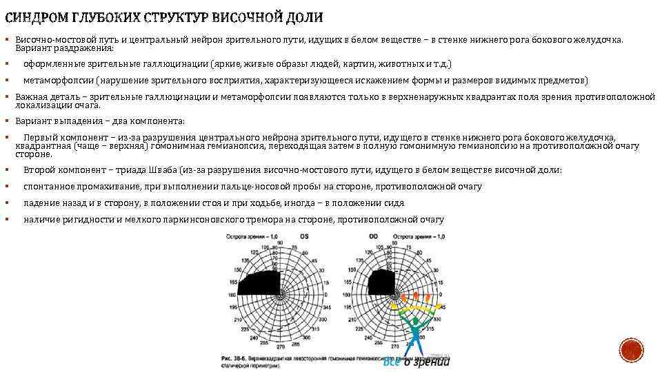 § Височно мостовой путь и центральный нейрон зрительного пути, идущих в белом веществе −