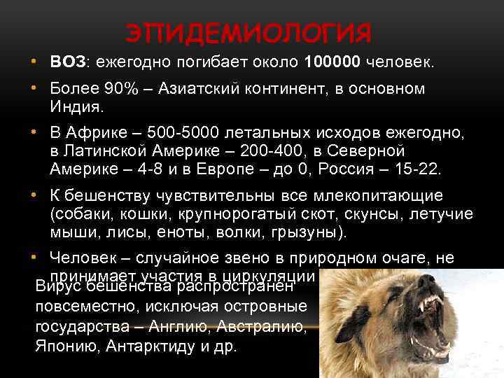 ЭПИДЕМИОЛОГИЯ • ВОЗ: ежегодно погибает около 100000 человек. • Более 90% – Азиатский континент,