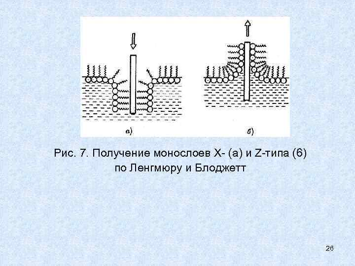 Рис. 7. Получение монослоев Х- (а) и Z-типа (6) по Ленгмюру и Блоджетт 26