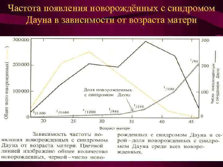 Частота появления новорождённых с синдромом Дауна в зависимости от возраста матери 