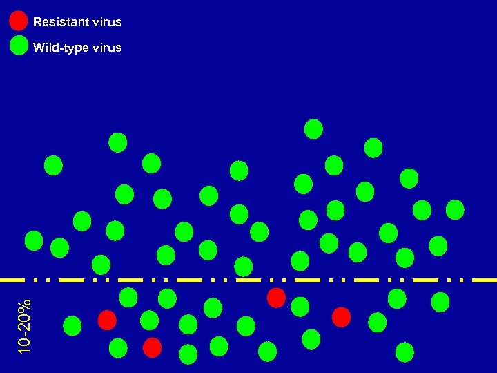 Resistant virus 10 -20% Wild-type virus 
