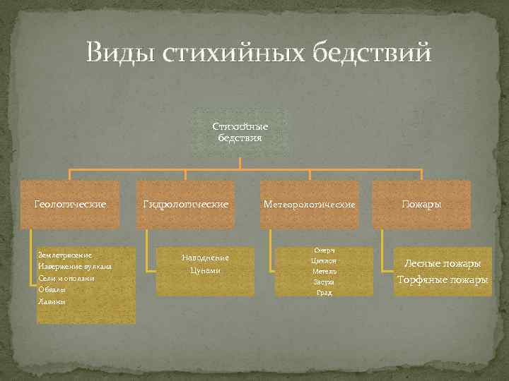 Виды стихийных бедствий Стихийные бедствия Геологические Землетрясение Извержение вулкана Сели и оползни Обвалы Лавины