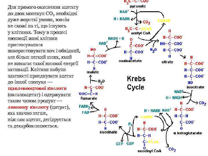 Для прямого окиснення ацетату до двох молекул СО 2 необхідні дуже жорсткі умови, зовсім