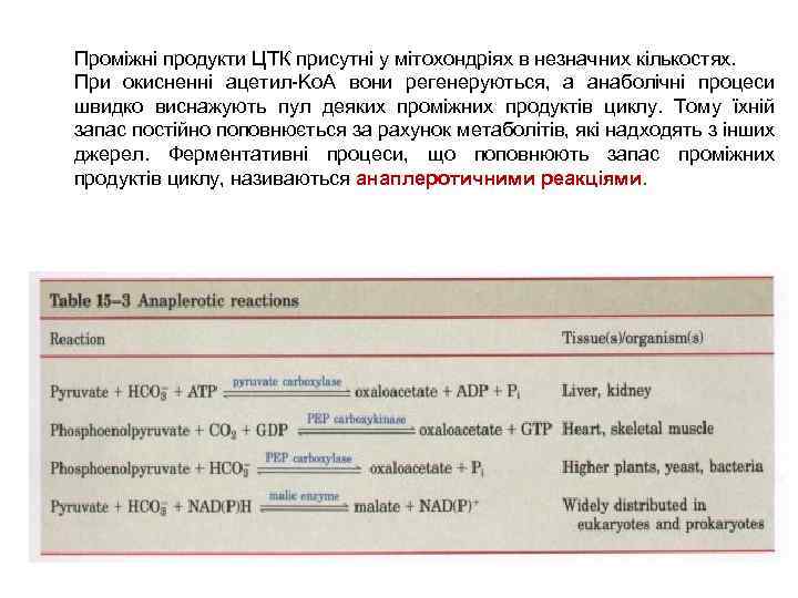 Проміжні продукти ЦТК присутні у мітохондріях в незначних кількостях. При окисненні ацетил-Kо. А вони
