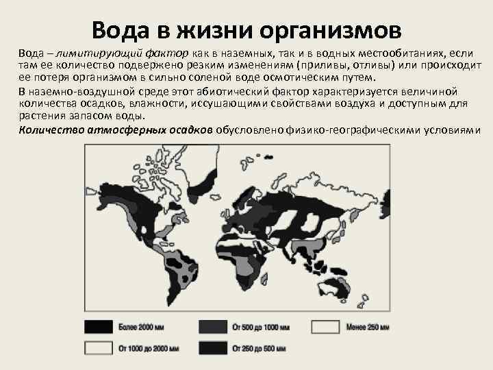 Вода какой фактор. Лимитирующие факторы вода. Ограничивающий фактор в воде. Вода как лимитирующий экологический фактор. Ограничивающий фактор в воде примеры.