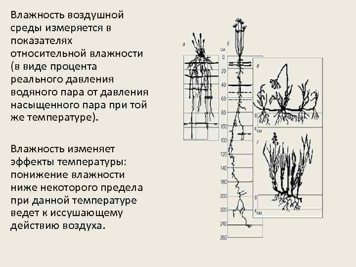 Влажность воздушной среды измеряется в показателях относительной влажности (в виде процента реального давления водяного