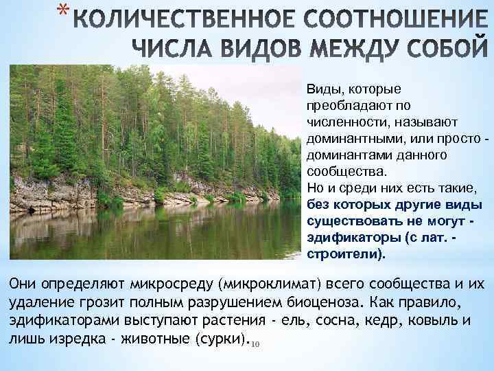 * Виды, которые преобладают по численности, называют доминантными, или просто доминантами данного сообщества. Но