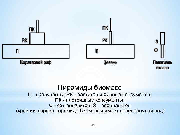 Пирамиды биомасс П продуценты; РК растительноядные консументы; ПК плотоядные консументы; Ф фитопланктон; З –