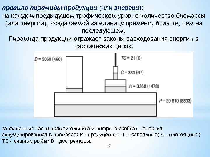 правило пирамиды продукции (или энергии): на каждом предыдущем трофическом уровне количество биомассы (или энергии),