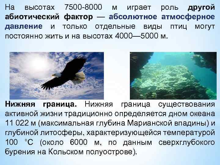 На высотах 7500 -8000 м играет роль другой абиотический фактор — абсолютное атмосферное давление