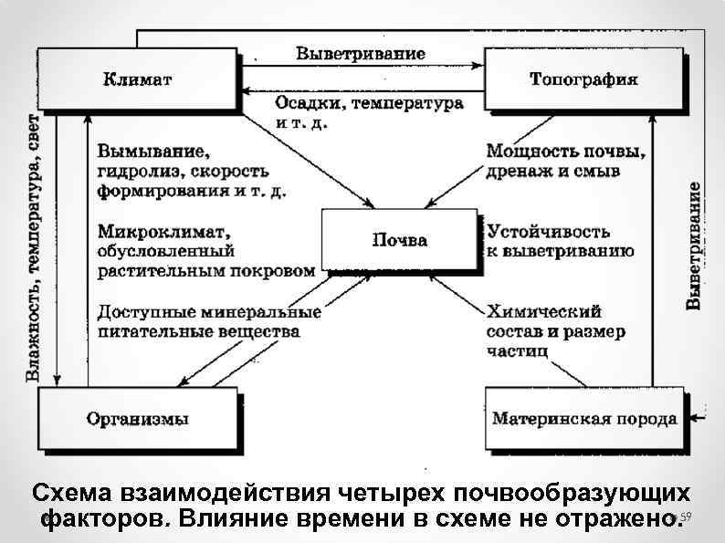 Схема почвообразующие факторы