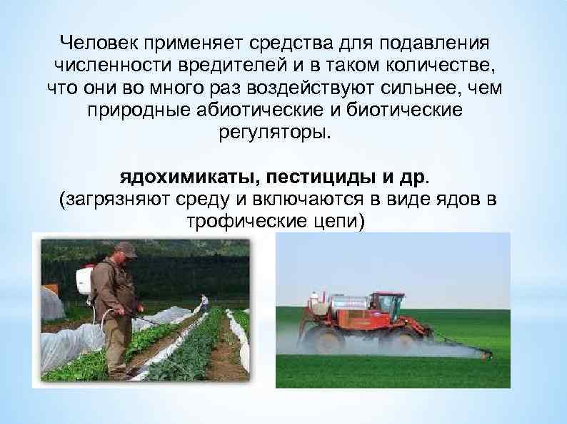 Человек применяет средства для подавления численности вредителей и в таком количестве, что они во