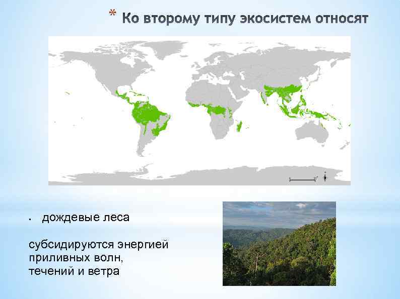 Антропогенная экосистема презентация