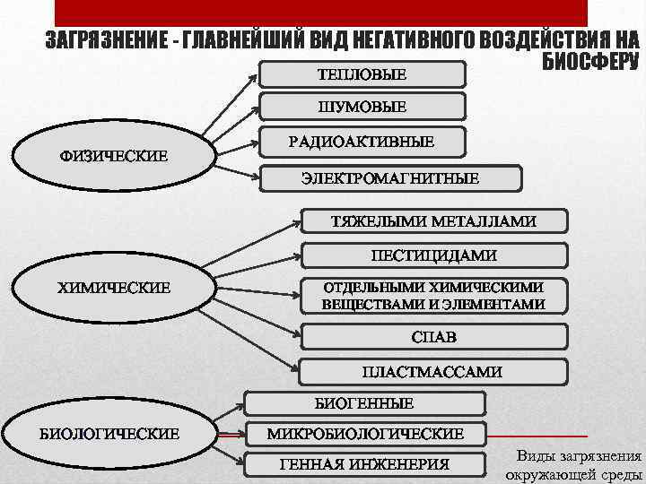 Виды антропогенного воздействия на биосферу