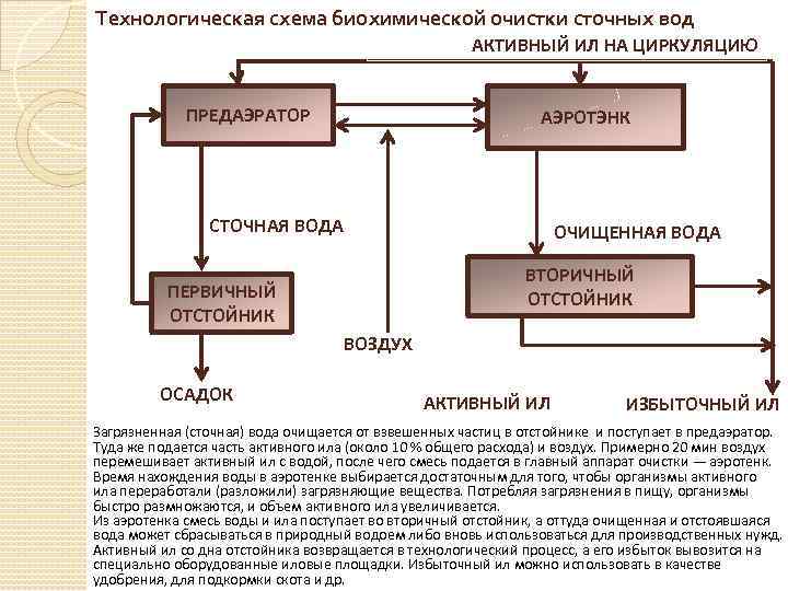 Технологическая схема биохимической очистки сточных вод АКТИВНЫЙ ИЛ НА ЦИРКУЛЯЦИЮ ПРЕДАЭРАТОР АЭРОТЭНК СТОЧНАЯ ВОДА