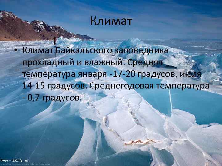 Презентация о байкальском заповеднике россии