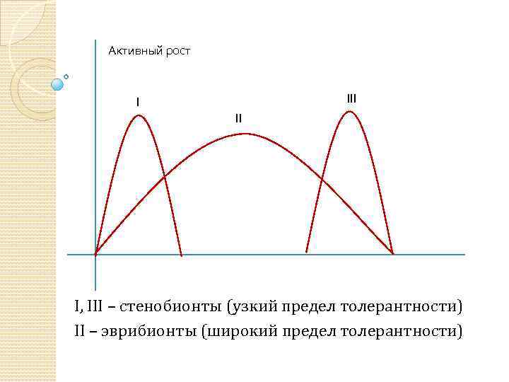 Активный рост III I, III – стенобионты (узкий предел толерантности) II – эврибионты (широкий