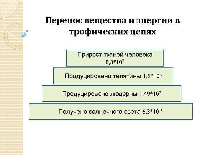 Перенос вещества и энергии в трофических цепях Прирост тканей человека 8, 3*103 Продуцировано телятины