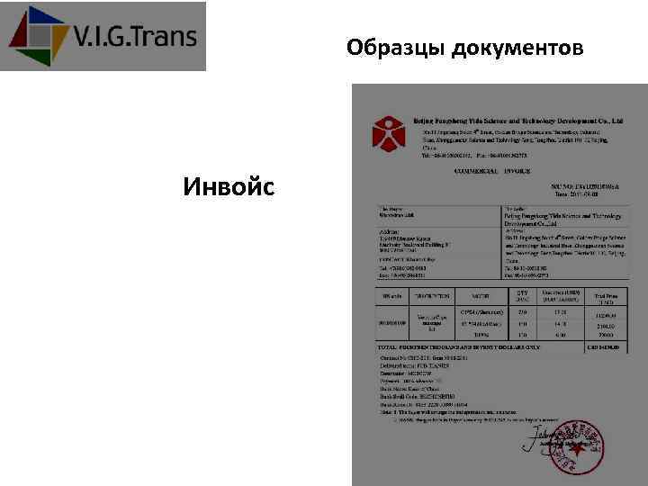 Образцы документов Инвойс +7 (495) 781 -00 -35 www. vigtrans. com 