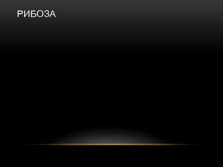 РИБОЗА 