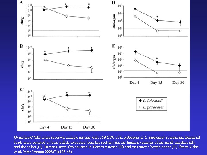 Germfree C 3 H/n mice received a single gavage with 109 CFU of L.