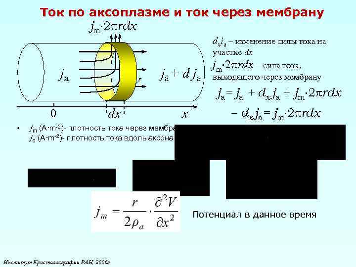 Ток по аксоплазме и ток через мембрану jm 2 rdx dxia – изменение силы