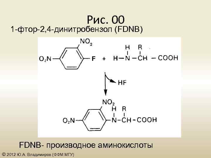 Рис. 00 1 -фтор-2, 4 -динитробензол (FDNB) FDNB- производное аминокислоты © 2012 Ю. А.