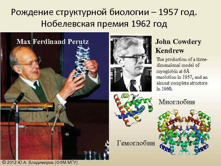 Рождение структурной биологии – 1957 год. Нобелевская премия 1962 год Max Ferdinand Perutz John
