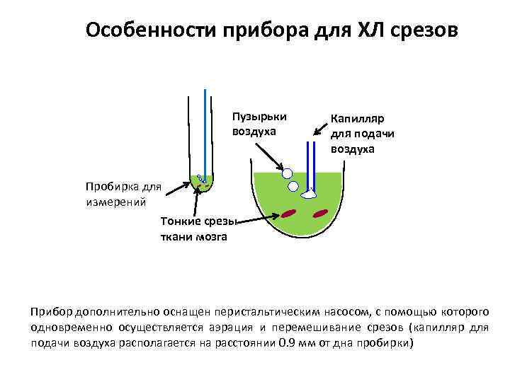 Особенности прибора для ХЛ срезов Пузырьки воздуха Капилляр для подачи воздуха Пробирка для измерений