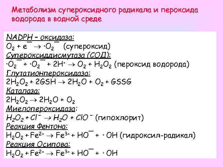 Метаболизм супероксидного радикала и пероксида водорода в водной среде NADPH – оксидаза: O 2