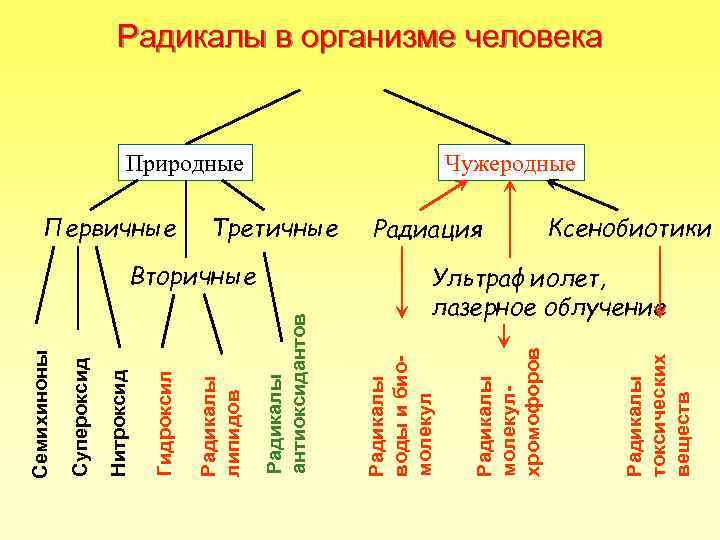 Вторичные Радиация Радикалы токсических веществ Природные Радикалы молекулхромофоров Третичные Радикалы воды и биомолекул Радикалы