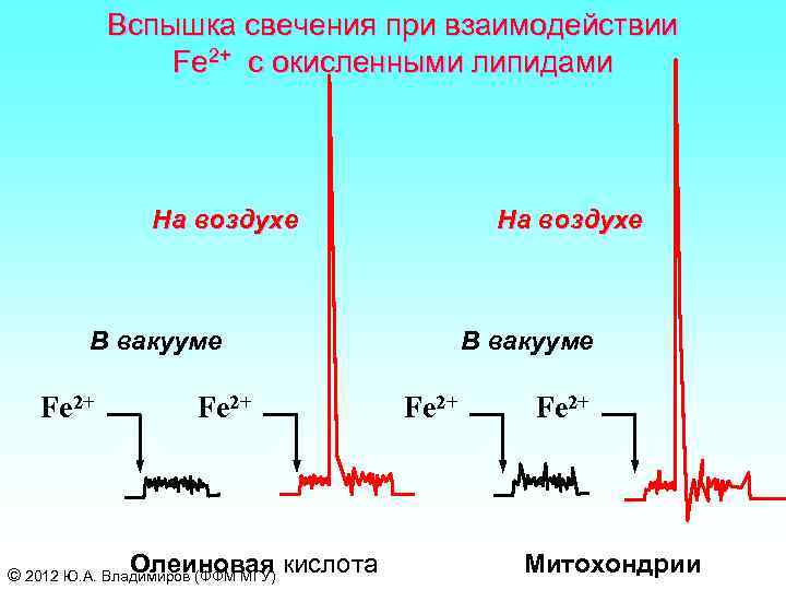 Вспышка свечения при взаимодействии Fe 2+ с окисленными липидами На воздухе В вакууме Fe